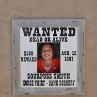 Wanted at Spring Creek Gulch