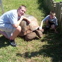 Kids love our Giant Tortoises
